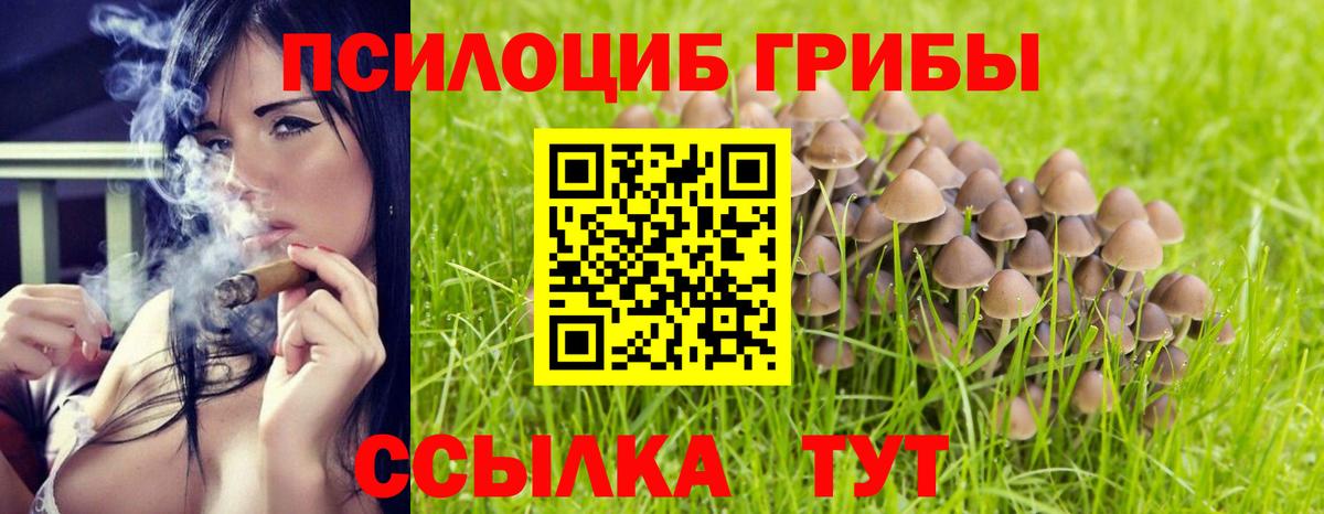 Псилоцибиновые грибы прущие грибы Киржач